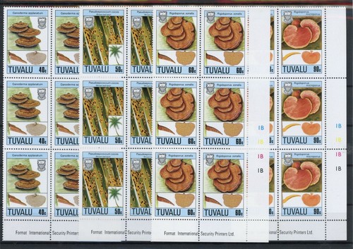 Tuvalu block six - tuvalu,