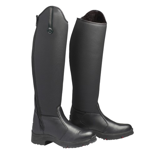 Mountain horse active winter - horse,
