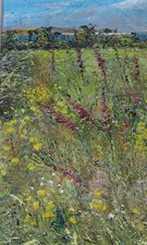 Peter M Smith Isles of Scilly Mounted Print.  A4 Wrapped Coastal Landscape