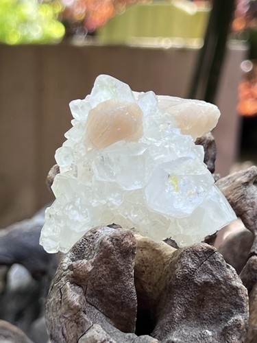 Apophyllite cluster mineral - apophyllite,