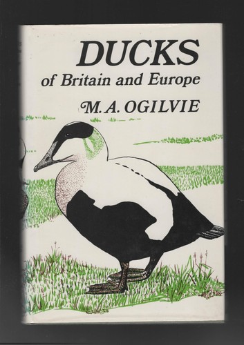Ducks britain and europe - of, &