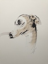 Original signed Ink sketch painting of a Whippet Greyhound Lurcher