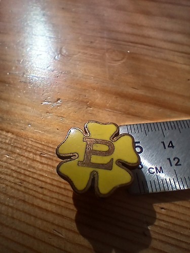 Vintage primrose league - primrose, badge