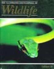 Orbis: The Illustrated