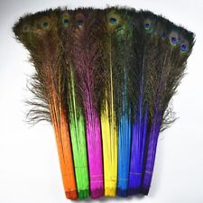 Long Colourful Peacock Eye