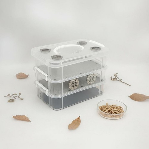 Mealworm breeding box - mealworm,