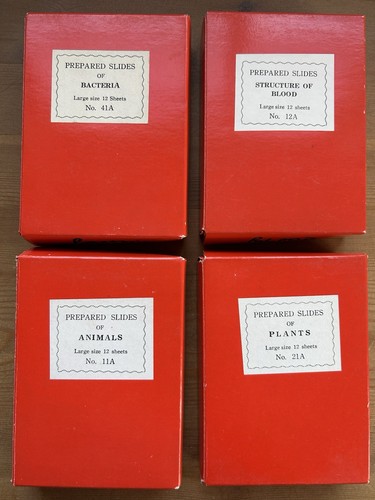 Boxes microscope sample - boxes,
