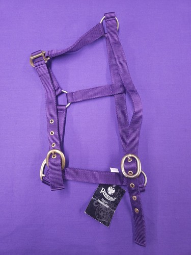 Cob size rhinegold plum - plum, /