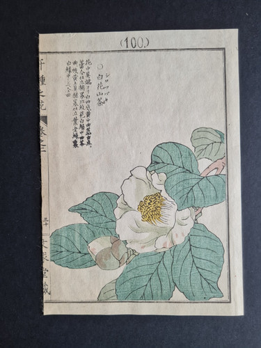 Antique 1890 japanese - antique,