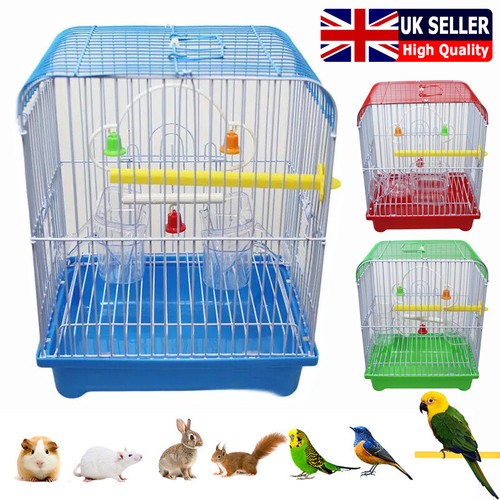 Small parakeet wire bird - parakeet,