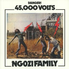 NGOZI FAMILY - 45,000 Volts