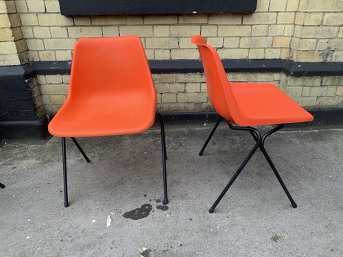 Pair orange robin day - pair,