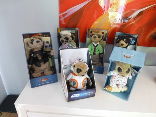 Meerkat set 6 - meerkat,