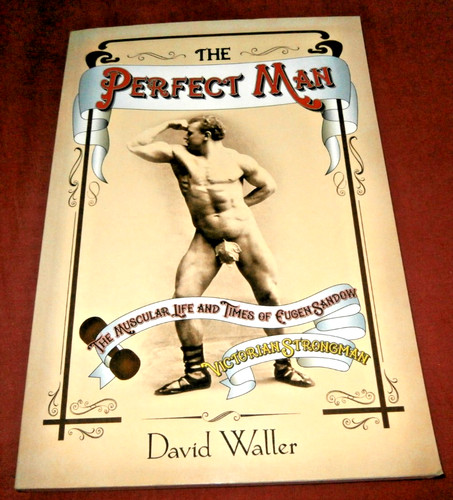 The perfect man muscular life - the,