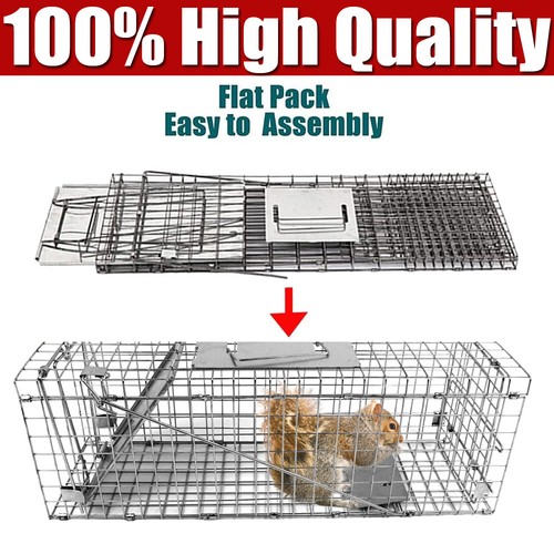 Rat cage trap - cage, animal
