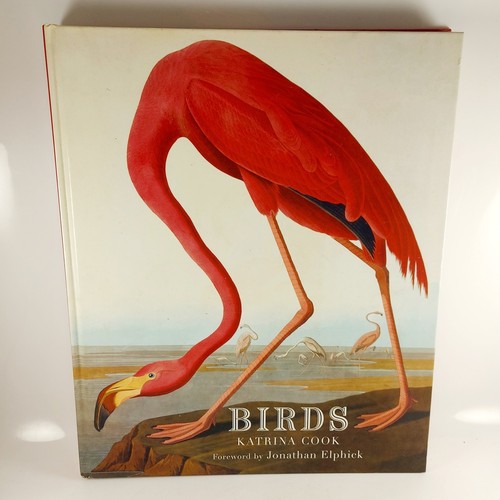Birds book katrina - birds, by