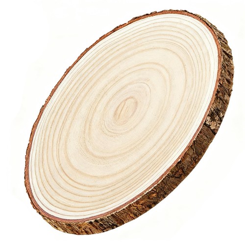 3538cm large tree slice wooden - slice,