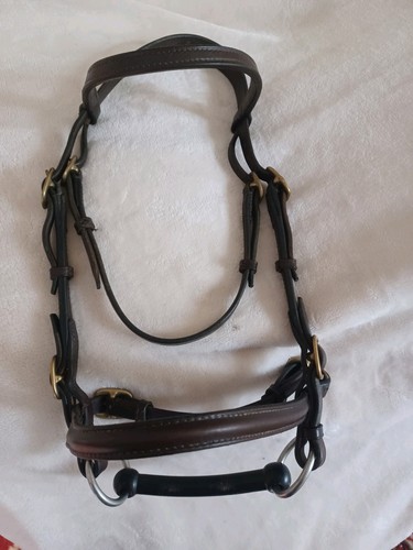 English hand show bridle - english, in-hand