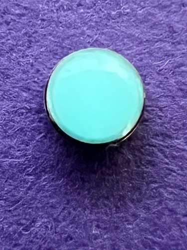 Trim watch bezel insert - s/st,