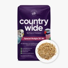 Countrywide Special Budgie