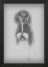 Cross breed with a Beagle