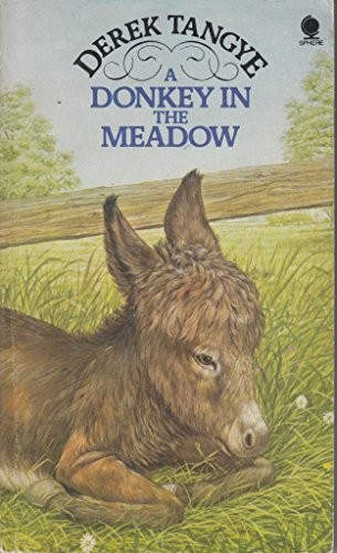 Donkey the meadow - donkey,