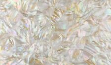 5 pieces Shell Sheet Veneer