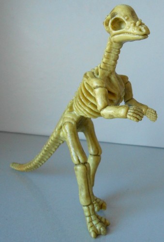 Dinosaur pachycephalosaurus - dinosaur,