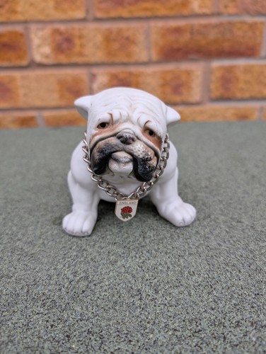 English bulldog - english,