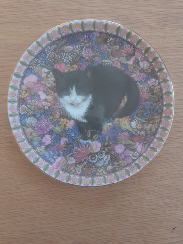 Meet kittens bone china - 'meet, kittens'