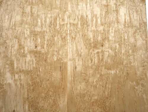Birch veneer wood burl - birch,