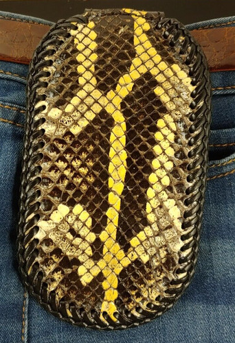 Burmese python coin wallet - python,