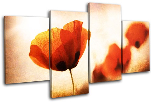 Poppy field flowers - field, floral