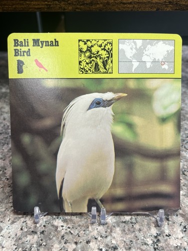 Bali mynah bird 1977 - bali,