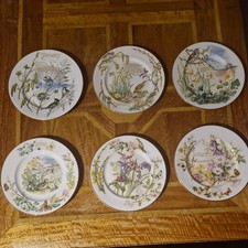 Caverswall The Country Diary