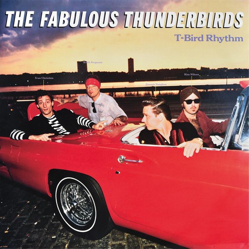 Fabulous thunderbirds bird - fabulous,