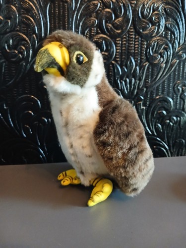 Kci peregrine falcon - peregrine, british