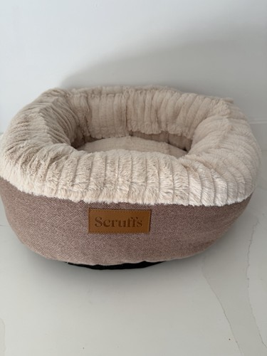 Scruffs ellen donut - donut, dog