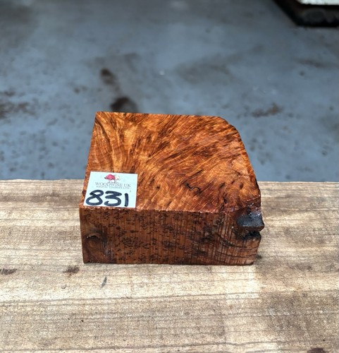 Thuya burr 4 - 4, 2”