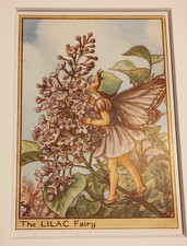 Vintage Flower Fairies Print &