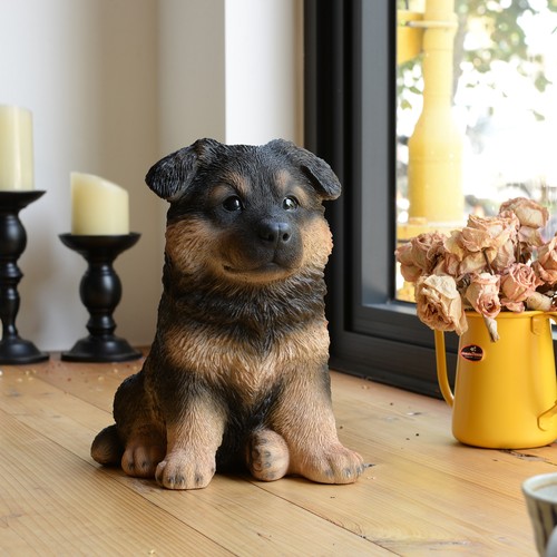 German shepherd puppy - german,