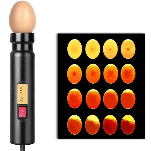 Led light egg - candler, tester