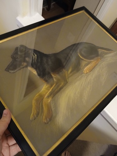 Antique watercolour a dog - of,