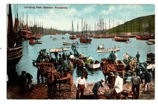 Cornwall. Landing Fish