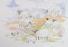 Original Watercolour, 'Flock
