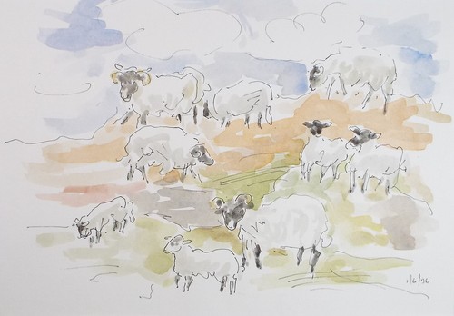 Original watercolour flock - original, watercolour,