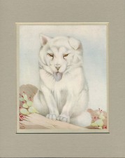 SAMOYED PUPPY by EDWARD DETMOLD OLD ART PRINT FROM 1920'S MOUNTED READY TO FRAME