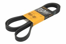 Contitech 2170 v ribbed - contitech, pk