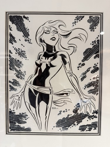 Bruce timm original - bruce,