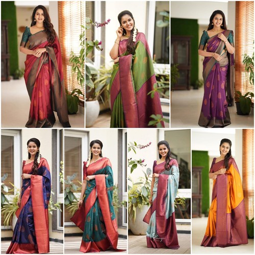 Designer litchi silk saree - litchi, big